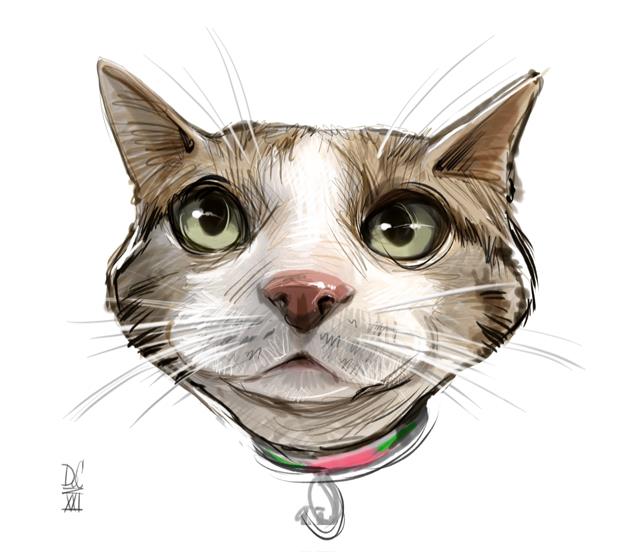 Studio caricatures and illustrations in Alberta