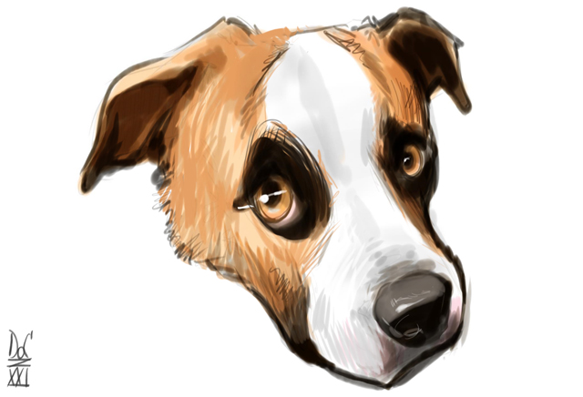 Studio caricatures and illustrations in Alberta