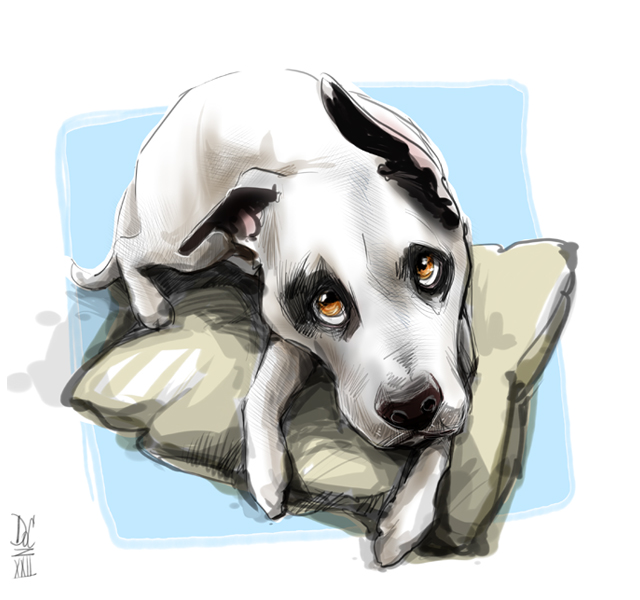 Studio caricatures and illustrations in Alberta