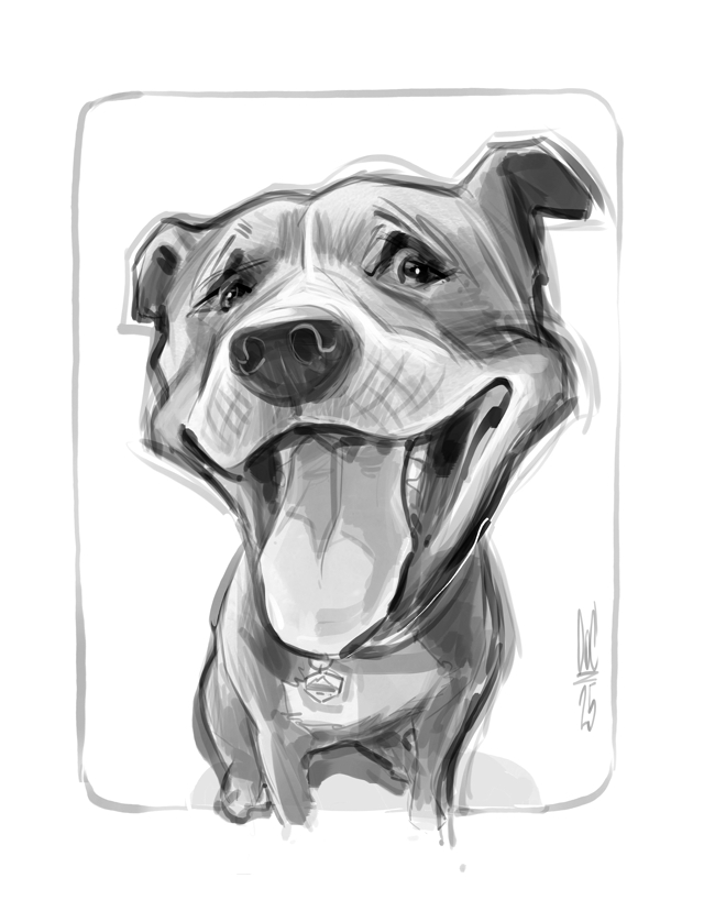 Studio caricatures and illustrations in Alberta