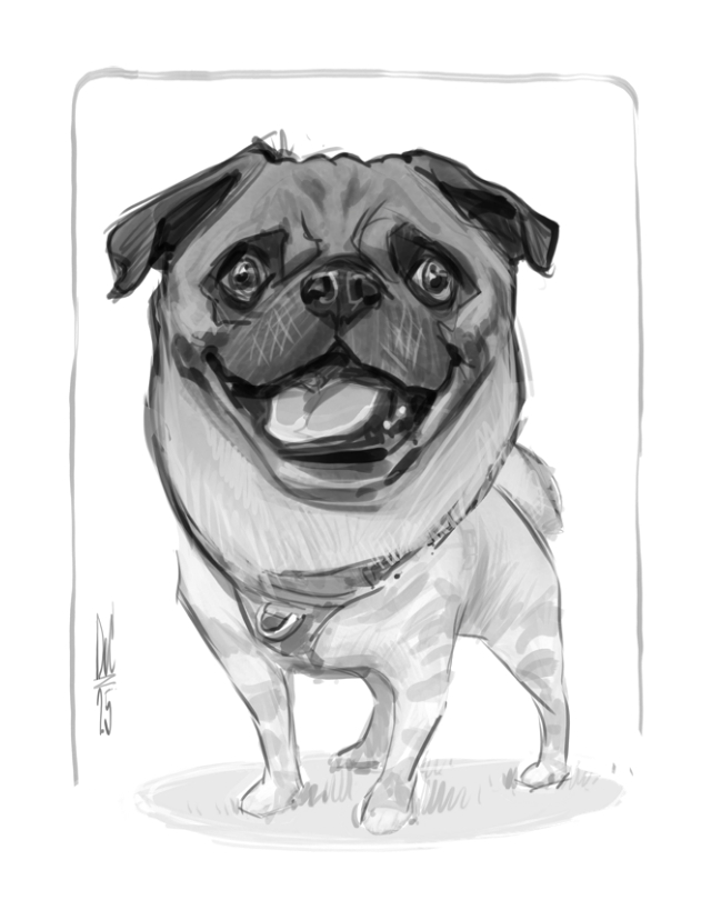 Studio caricatures and illustrations in Alberta