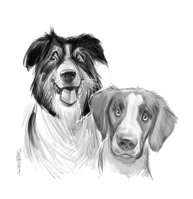 Studio caricatures and illustrations in Alberta