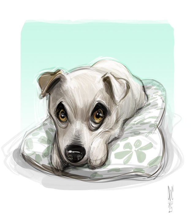 Studio caricatures and illustrations in Alberta